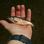 P_2016-05-22 23.21.55.jpg