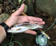 Big Rainbow from Linn Creek.jpg