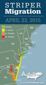 StriperMigration_300x550_4_23_B-750x1375.jpeg