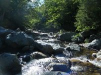Lye Brook.jpg