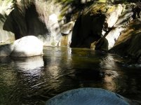 Middlebury Gorge - Put Your Rod in Your Teeth.jpg