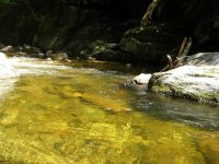 Middlebury Gorge 1.jpg