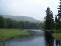 Mist on the Pond.jpg