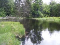 Pond 1.jpg