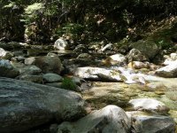 Tweed Headwaters 2.jpg