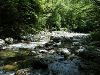 Tweed Headwaters.jpg