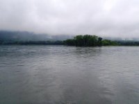x (5) - Copy.JPG
