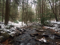 Linn Run 1 11-20-2016.png