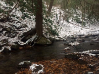 Linn Run 3 11-20-2016.png