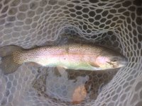 IMG_1663.JPG