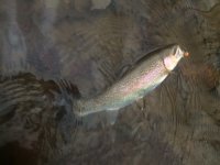 IMG_1670.JPG