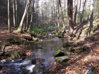 DSCN0748.JPG