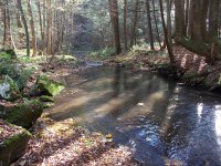 DSCN0749.JPG