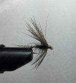BlackWetfly3_17EDIT.jpg