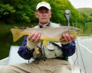 22 Inch Brown.jpg