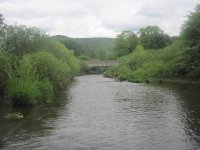 IMG_0429.JPG