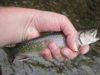 IMG_0432.JPG