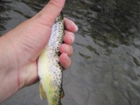 IMG_0434.JPG