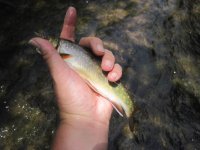 IMG_0488.JPG
