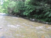 IMG_0489.JPG