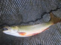IMG_0492.JPG