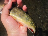 IMG_0493.JPG