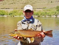 Caddis  Brown (400x305).jpg