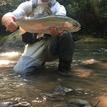 IMG_1713.jpg