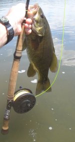 IMG_4245.JPG