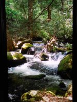 DSCN0881.JPG