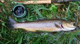 20170924_070642 (300x169).jpg