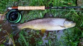 20170924_074212 - Copy (300x169).jpg