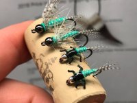 eagles tribute flies.jpg