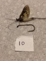 Penns Ck fly with sz 10 hook.JPG