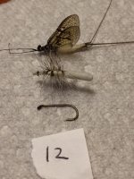 Penns Ck fly with my pattern & sz 12.JPG