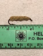 SIW with Ruler.jpg