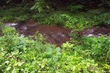 DSCF2287.JPG