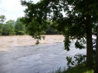 Cabin - looking down river (450x338).jpg