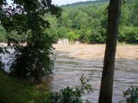 Cabin - looking upriver (450x338) (2).jpg