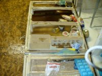 Refrigerator door (450x338).jpg