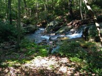 Watery 1.JPG
