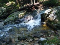 Watery 2.JPG
