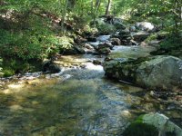 Watery 3.JPG