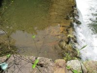 Small photo of dam.JPG