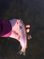 IMG_1612.JPG.jpeg