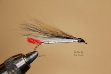Black Nose Dace Signature Resized.jpg