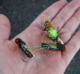 Cicadas3.JPG