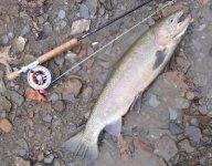20190408_130143(0) (400x313).jpg