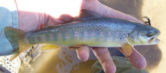 NBMC20190427b.JPG
