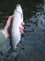 Kettle hefty rainbow.jpg